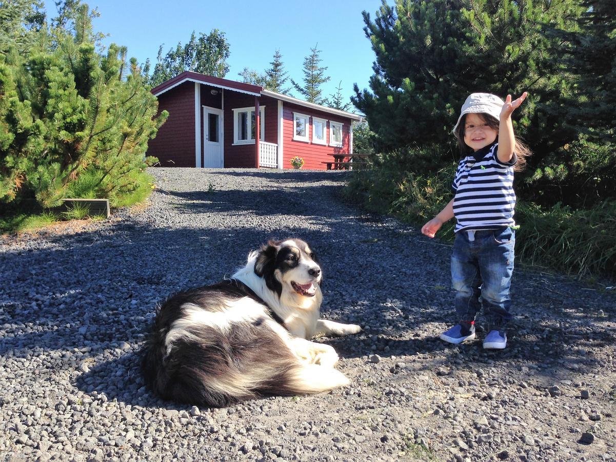 Klara'S Farm Holidays Hella Eksteriør bilde