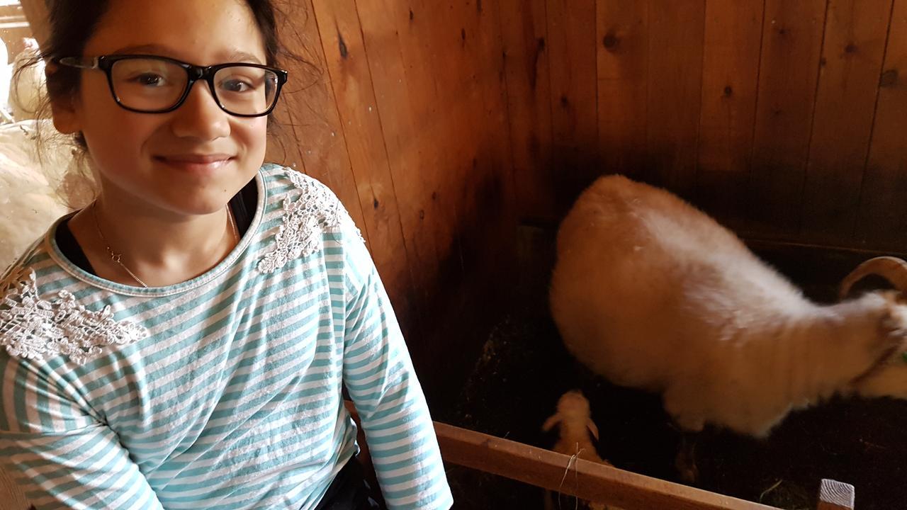 Klara'S Farm Holidays Hella Eksteriør bilde