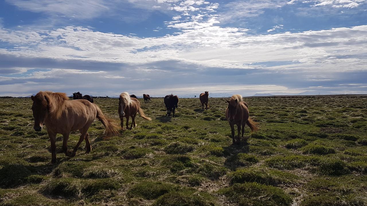 Klara'S Farm Holidays Hella Eksteriør bilde